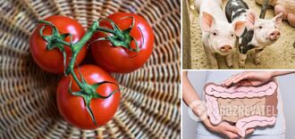 Naukowcy odkryli, jak dwutygodniowa dieta pomidorowa wpłynie na organizm