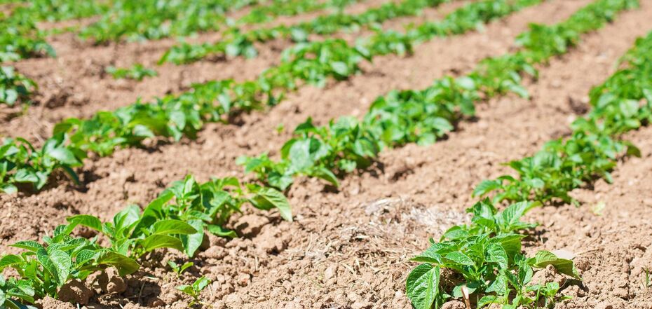 Лунный календарь на 2024 год