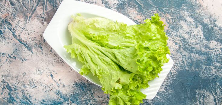 How to store lettuce leaves to keep them fresh for up to 14 days: a proven life hack