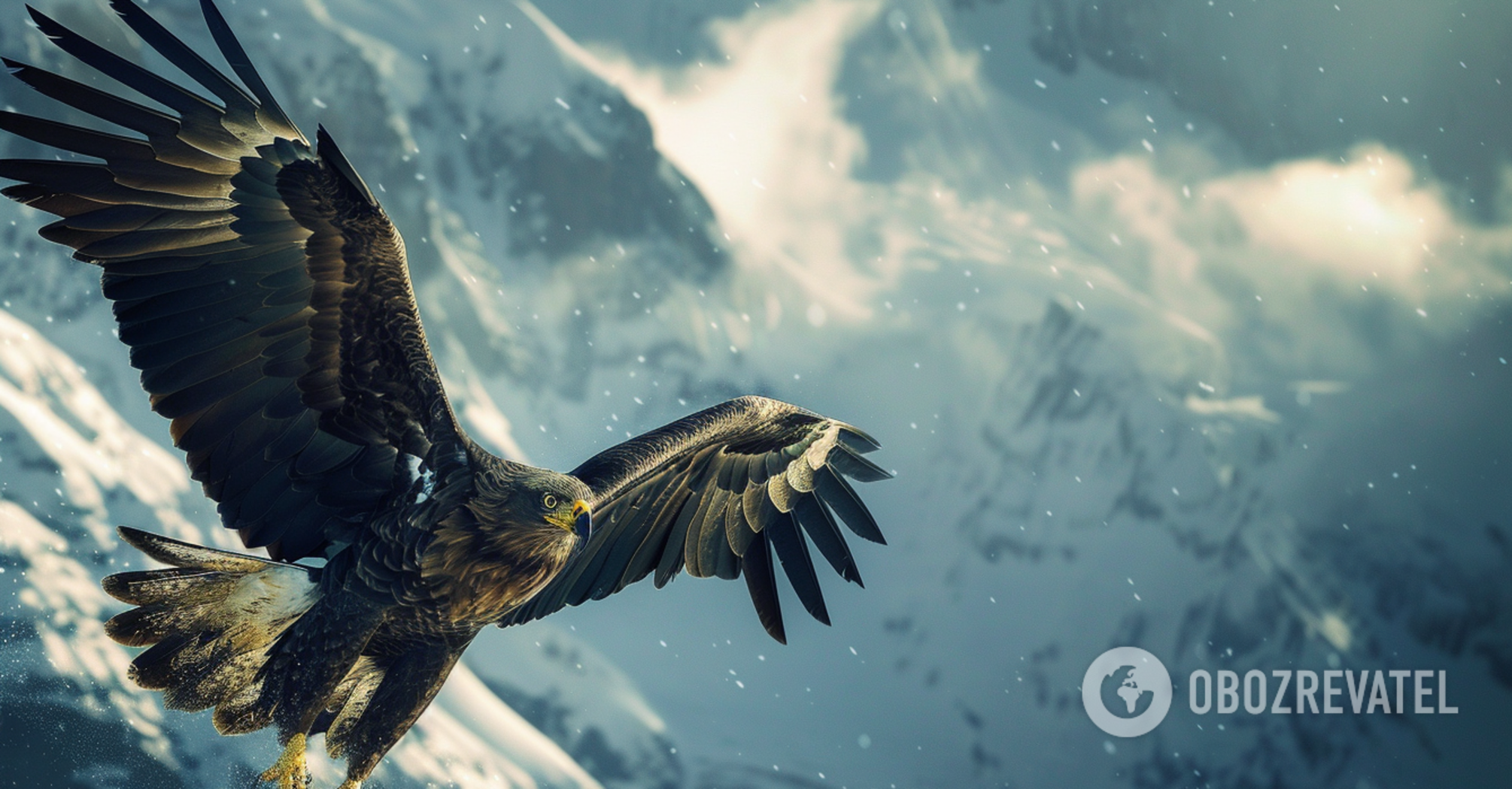 Only geniuses can spot the eagle: a puzzle that will test your IQ
