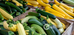 When to plant zucchini to get a good harvest: favorable days in March and April
