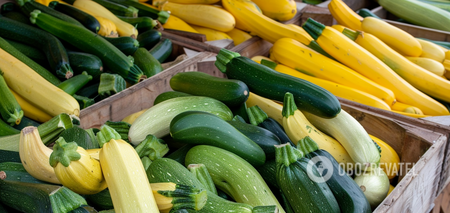 When to plant zucchini to get a good harvest: favorable days in March and April