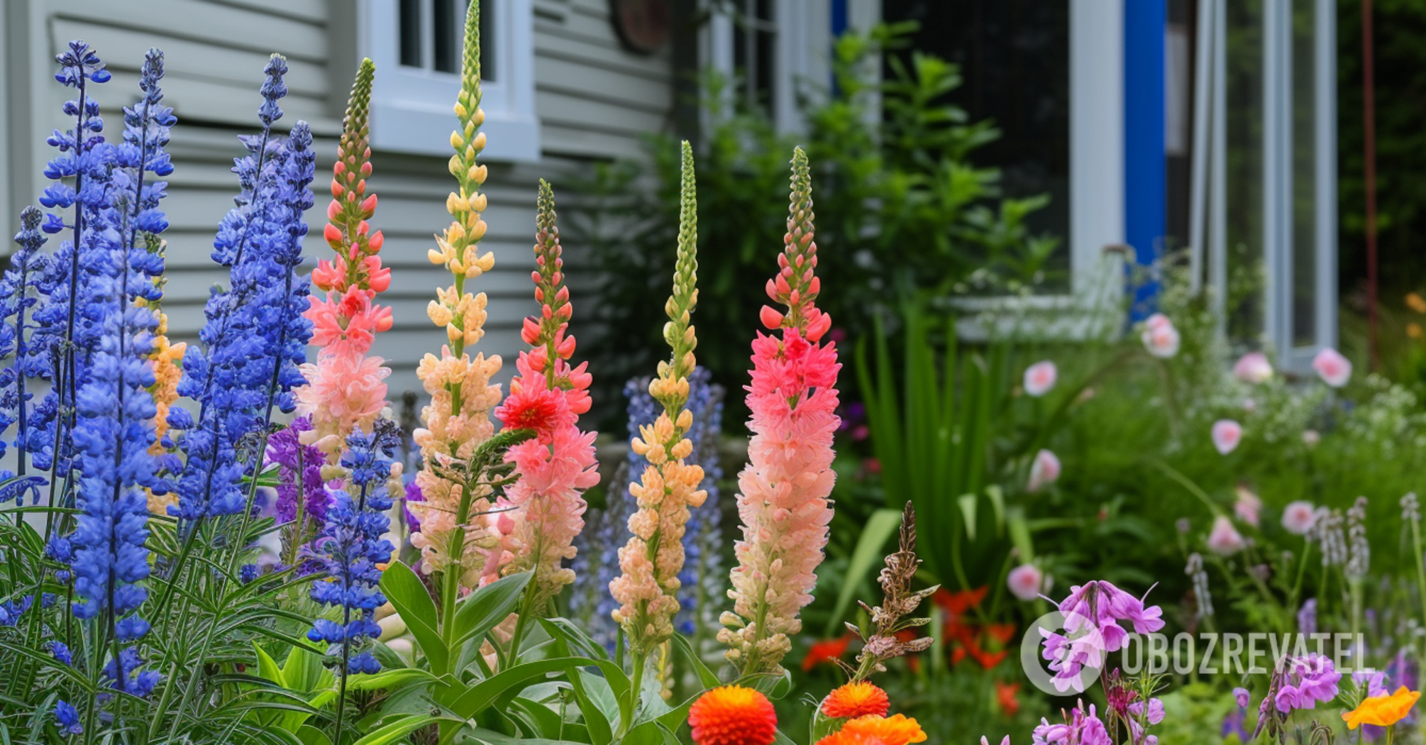 What flowers should be planted now to enjoy their beauty in spring