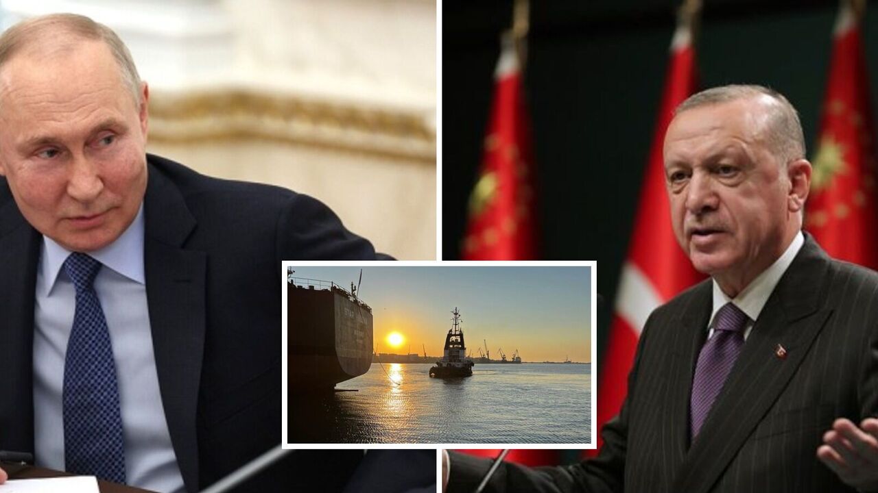 Erdogan and Putin to discuss new mechanism of Ukrainian grain exports: details