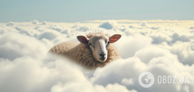 Only the most attentive will find the sheep among the clouds in this picture in 9 seconds