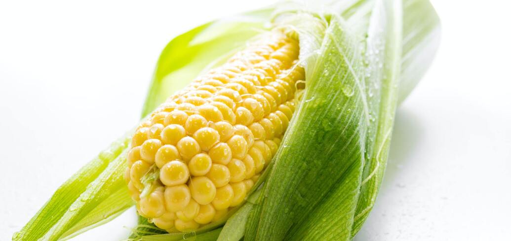 Młoda kukurydza