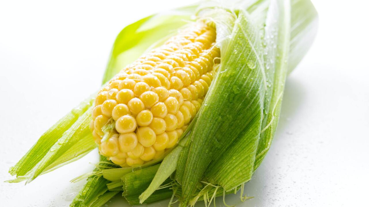 Young corn