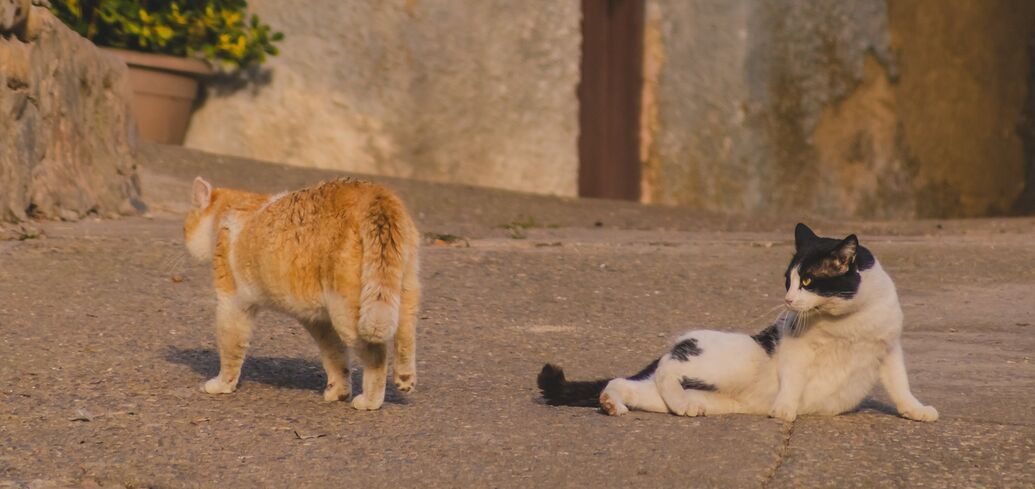 Приметы и поверья