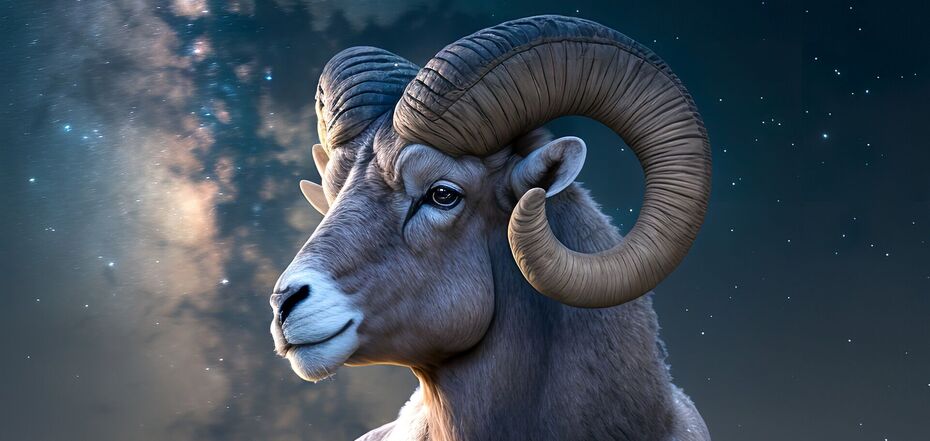 Совместимость знаков зодиака