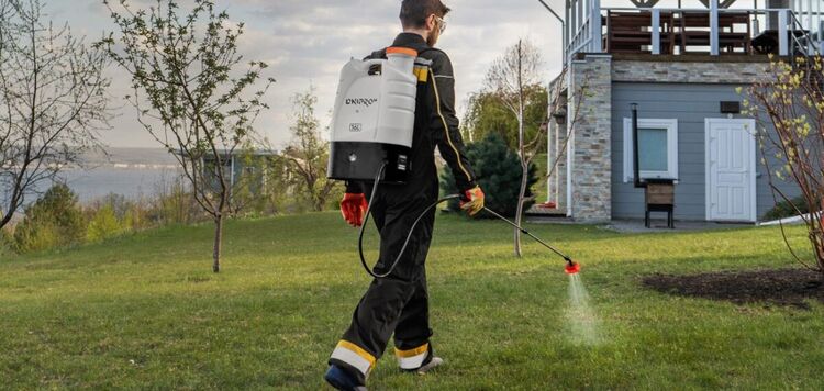 Eksperci podpowiadają, jak przygotować ogród na wiosnę