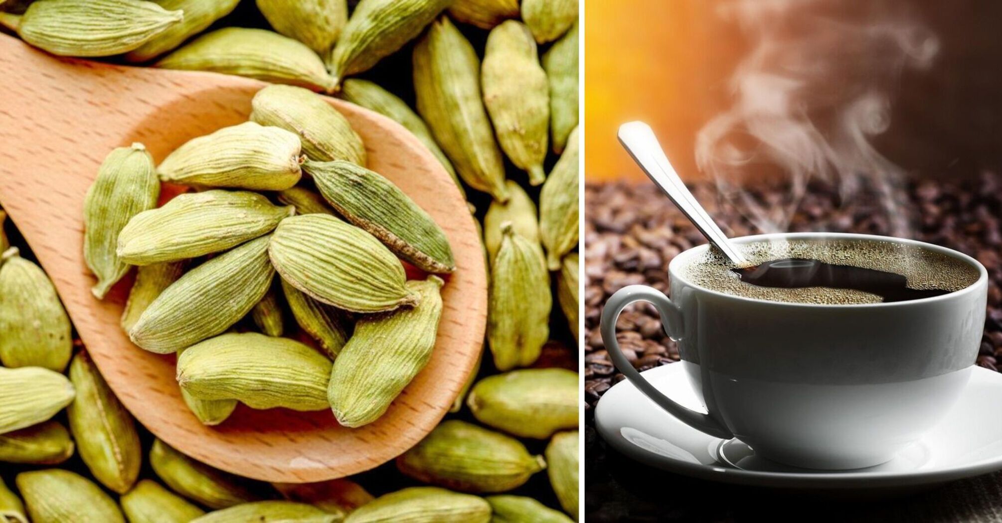 "King of spices": why cardamom is useful to add to coffee