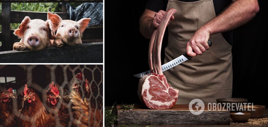 What would happen if people gave up meat: scientists' answer is shocking