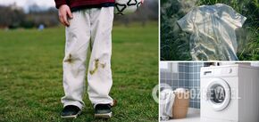 How to quickly remove grass stains from clothes: the easiest way