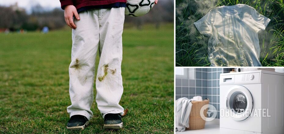 How to quickly remove grass stains from clothes: the easiest way