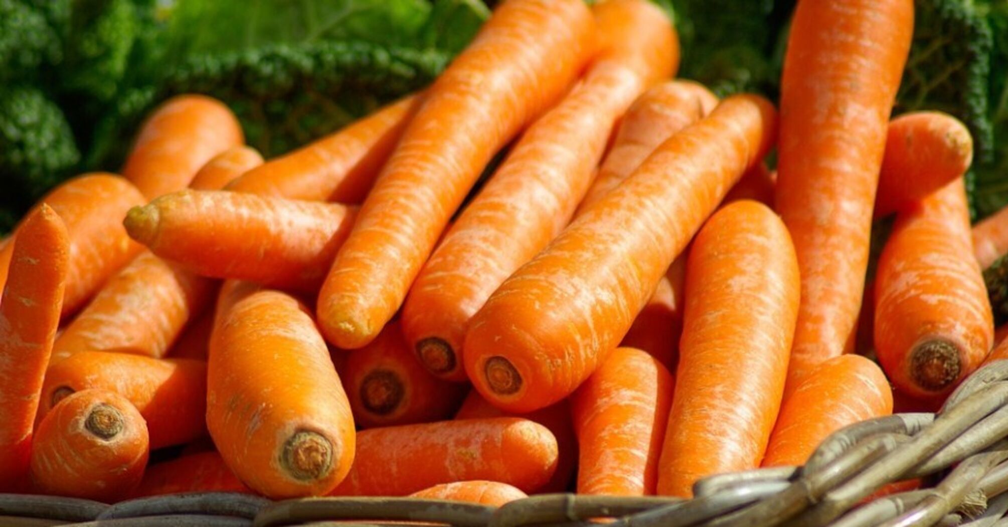 You should never store carrots with these vegetables: main rules