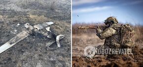 Ukrainian Armed Forces canceled hundreds of drones in Tauride sector and thinned enemy ranks, - Tarnavsky