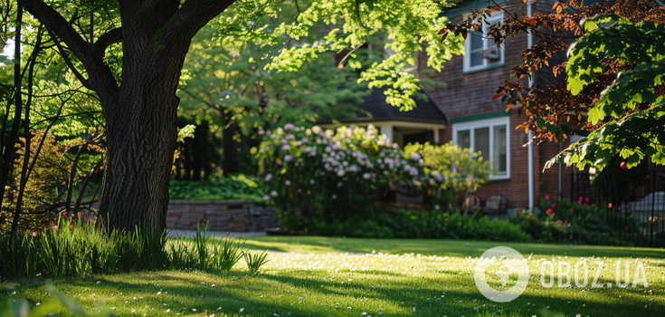 Don't make these mistakes: an expert names the worst things you can do to your lawn in spring