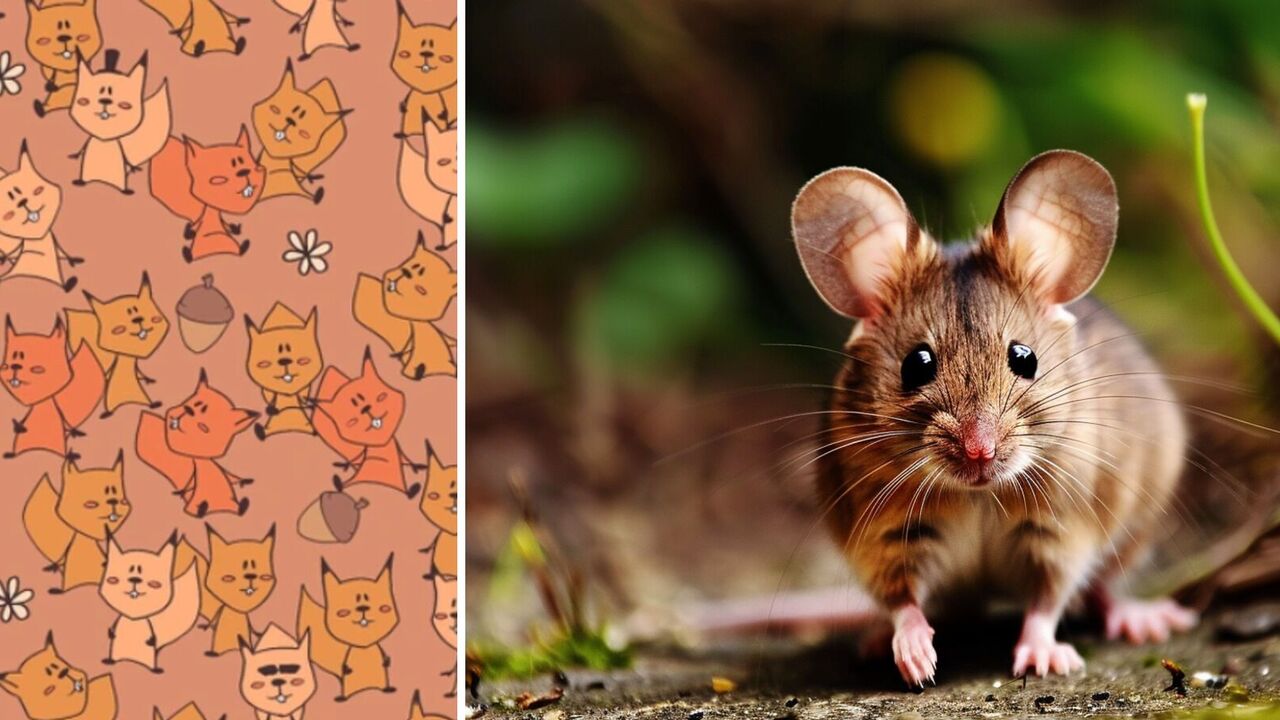 Find the mouse among the squirrels: an addictive puzzle with funny animals
