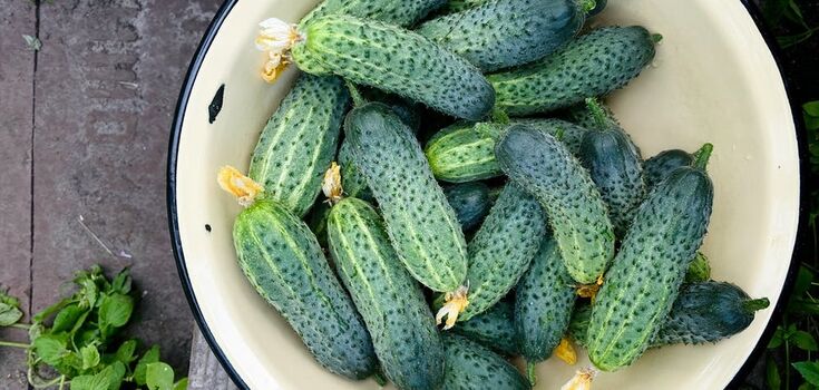 How to prepare lightly salted cucumbers with garlic in 10 minutes: ready to eat right away
