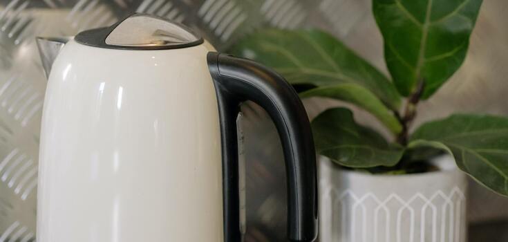 How to clean an electric kettle correctly