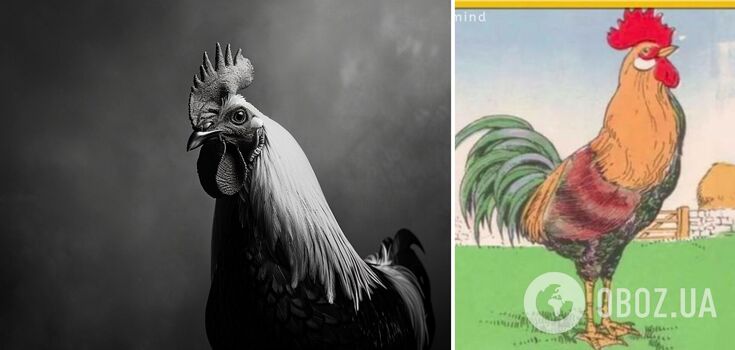 What's wrong with the picture? Find the error in an old poster with a rooster