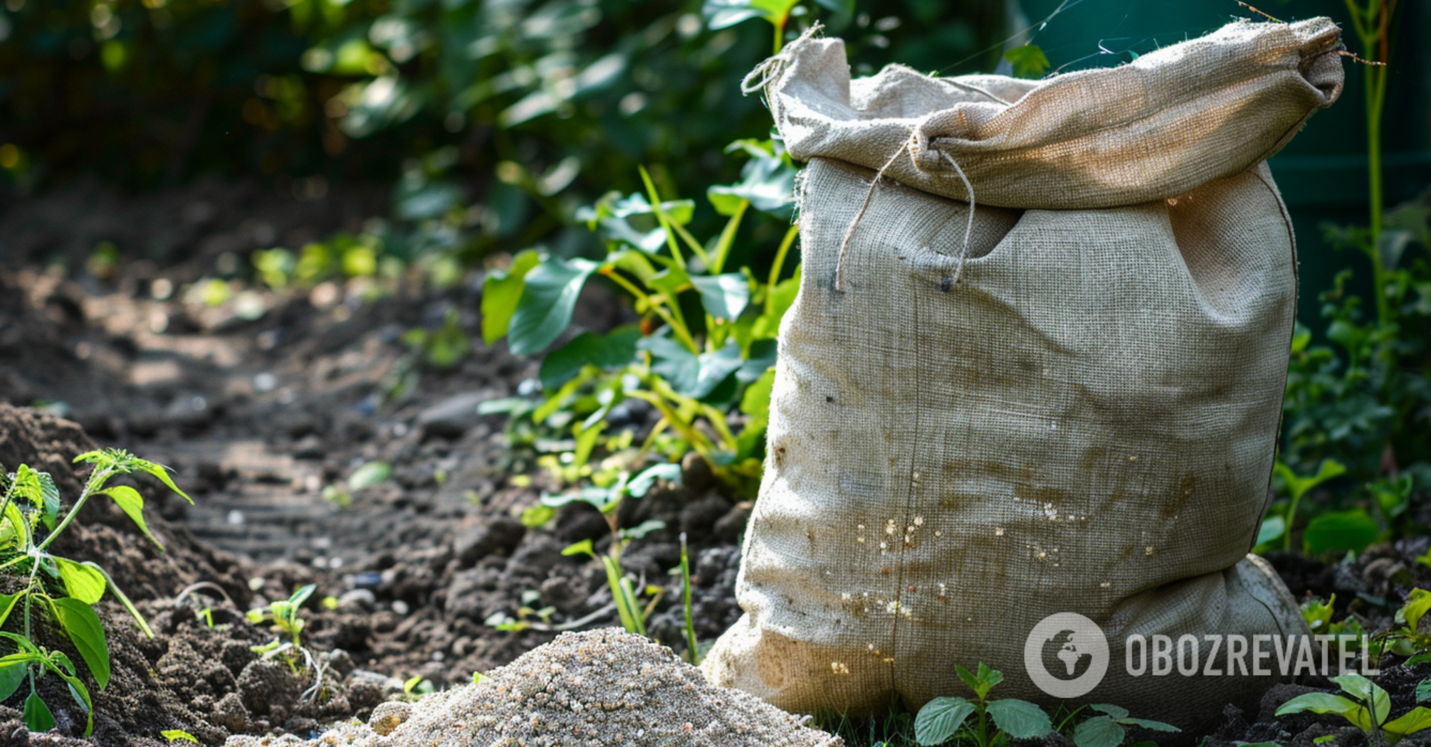 The garden will thank you: what fertilizers are applied in March, April and May