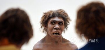 Naukowcy obliczyli, kiedy pierwsi ludzie przybyli na Ukrainę: to może zmienić historię