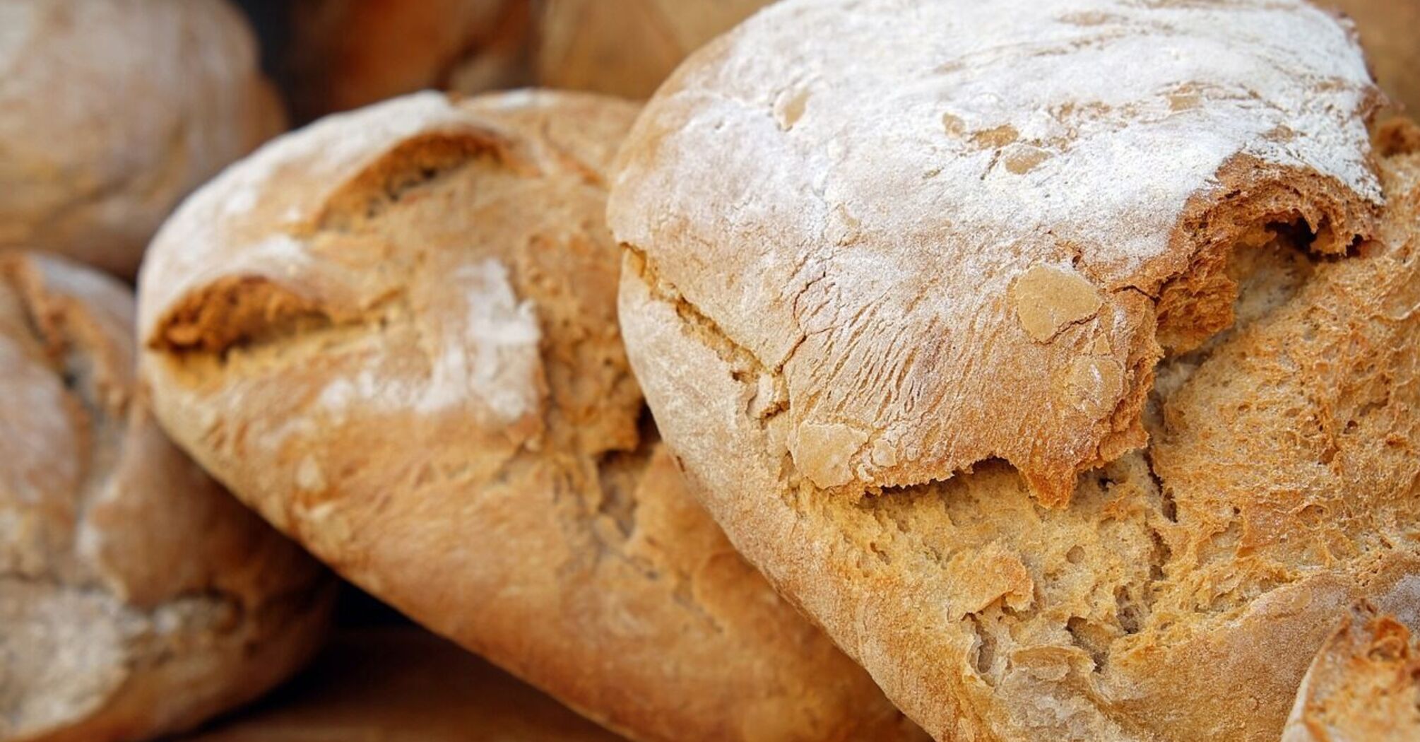 The best place to store bread to keep it fresh for a long time: the most effective way