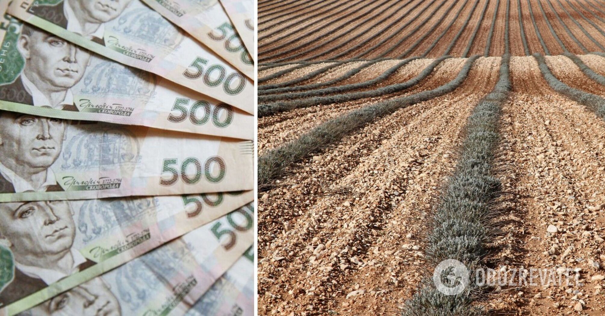 Buying land in Ukraine has become more expensive