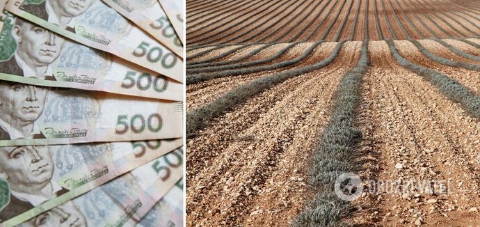 Buying land in Ukraine has become more expensive