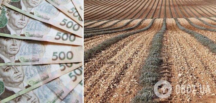 Buying land in Ukraine has become more expensive