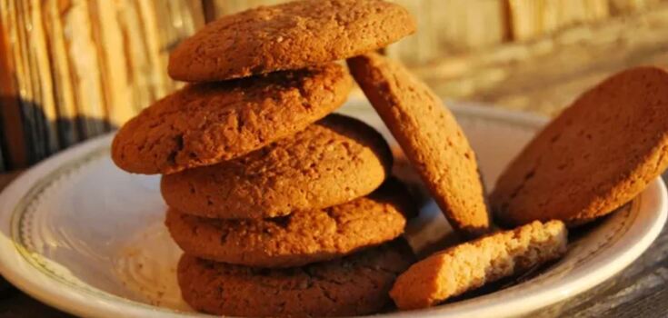 Healthy oatmeal cookies: recipes for home baking without sugar, flour and butter