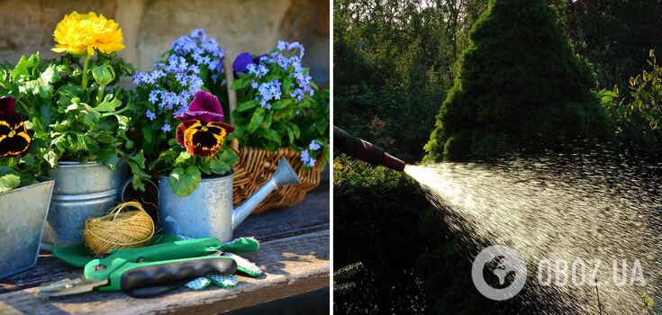 Gardening expert names one watering mistake during heat that can lead to plant death