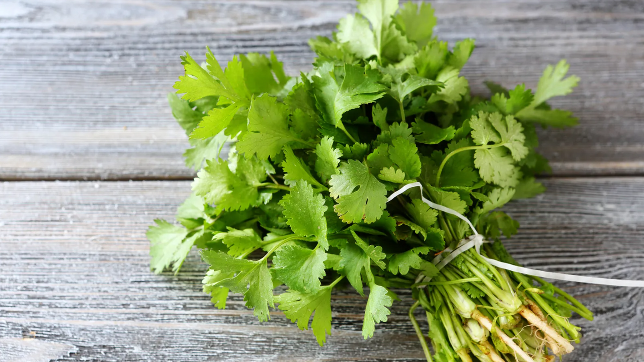 How to store greens so that they do not rot: two best ways