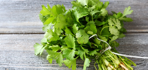 How to store greens so that they do not rot: two best ways