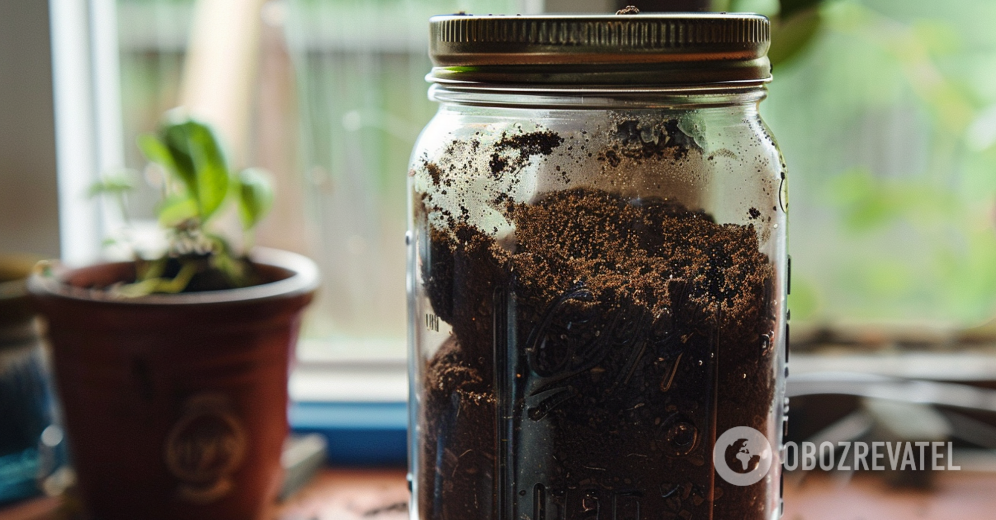 The 10 best ways to use coffee grounds at home: you'll be surprised