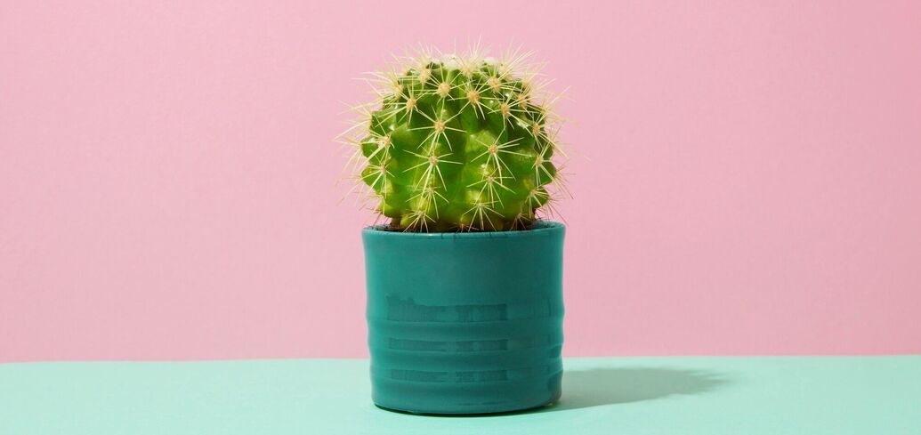 Поверья и приметы