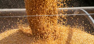 Five EU countries demand a complete ban on grain imports from Russia: List