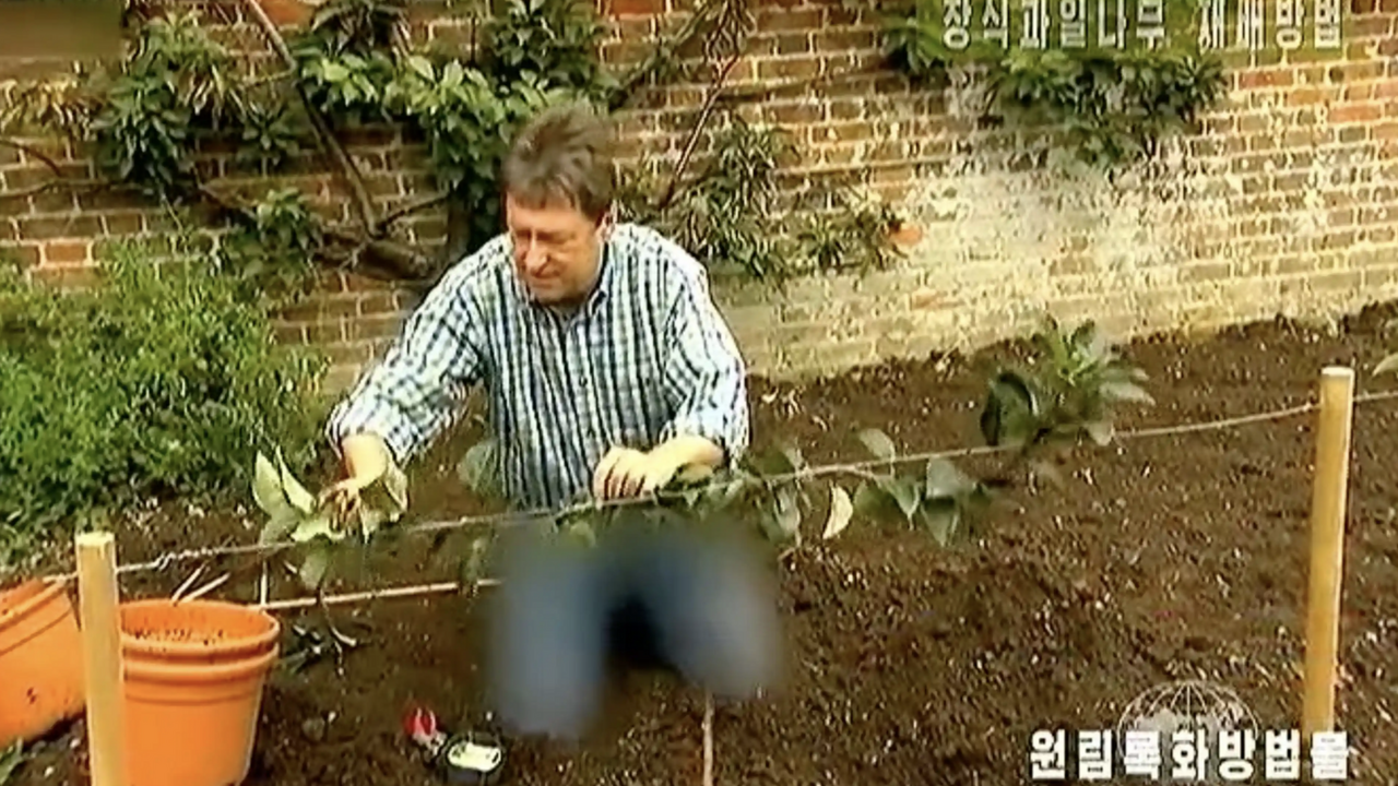 Telewizja KRLD cenzuruje dżinsy prezentera BBC: co jest z nimi nie tak. Zdjęcia i wideo