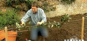 Telewizja KRLD cenzuruje dżinsy prezentera BBC: co jest z nimi nie tak. Zdjęcia i wideo