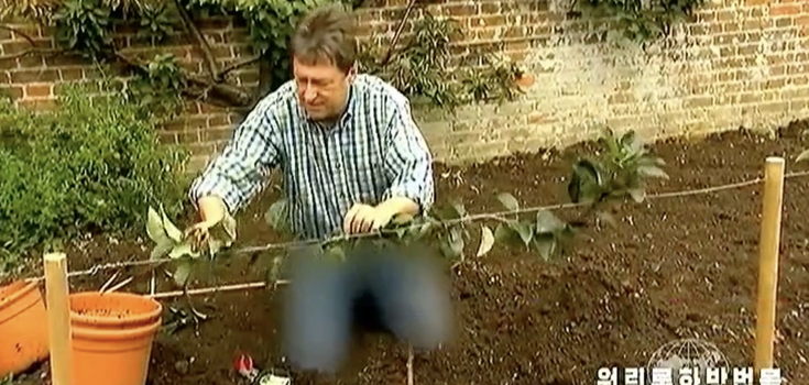 BBC presenter's jeans censored on DPRK TV: what's wrong with them. Photos and videos