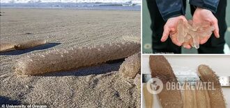 Millions of drop-like creatures washed up on the ocean coast: what scientists say. Photo