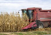 Ukraina importuje bardzo niewiele produktów rolnych do UE