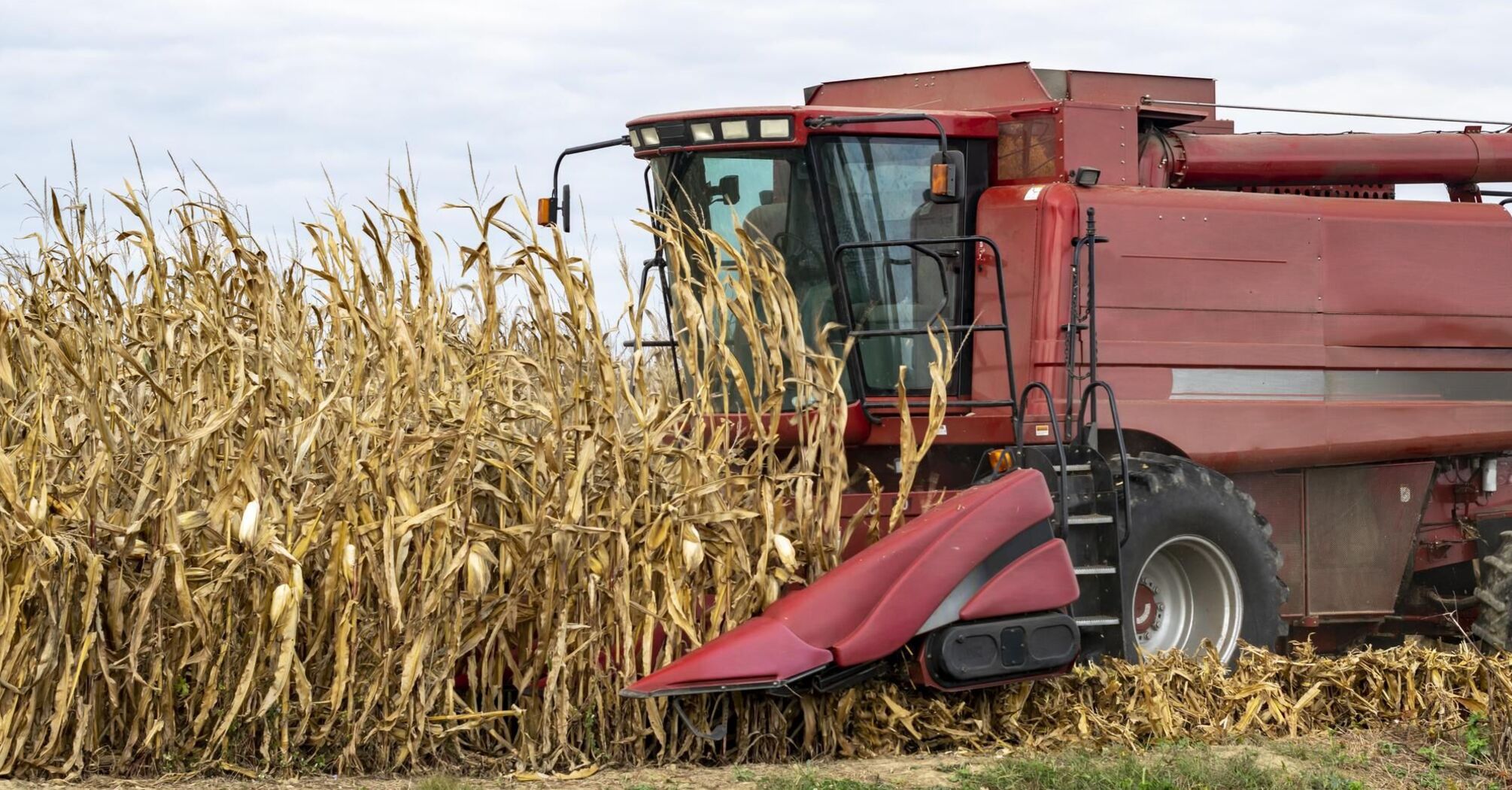 Ukraine imports very few agricultural products to the EU