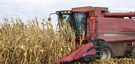 Ukraine imports very few agricultural products to the EU