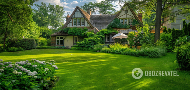 How to make your lawn thick and healthy: a trick that only a few know about