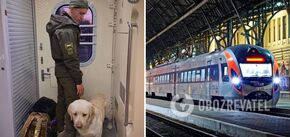 A Ukrainian soldier had to stand in a train vestibule for three hours because of a service dog: UZ responds to the scandal