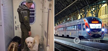 Ukraiński żołnierz musiał stać w przedsionku pociągu przez trzy godziny z powodu psa służbowego: UZ reaguje na skandal