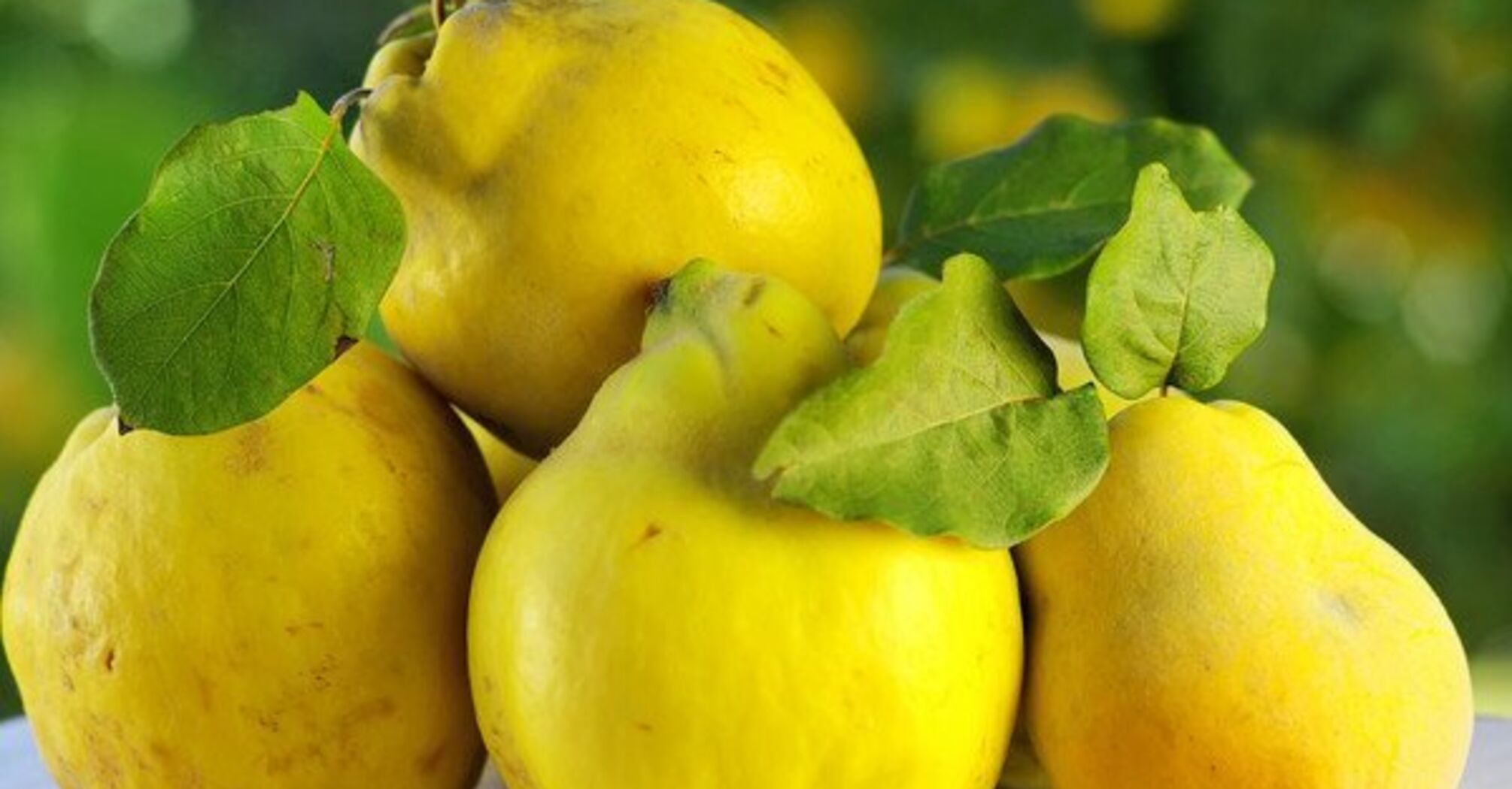 Печеня з айвою: приголомшливий аромат гарантований