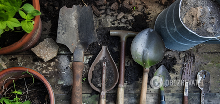 Nie musisz ich wyrzucać: jak czyścić zardzewiałe narzędzia ogrodowe